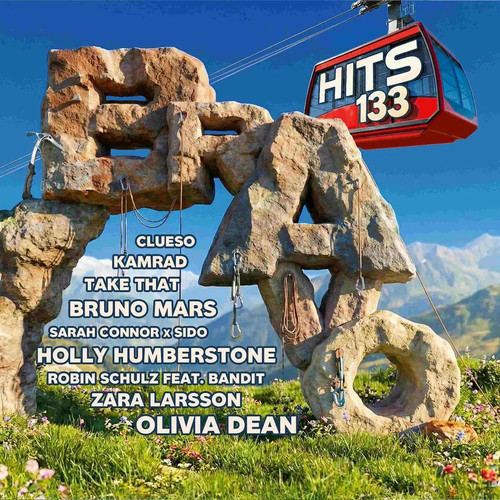 Bravo hits vol 133 - vol., various