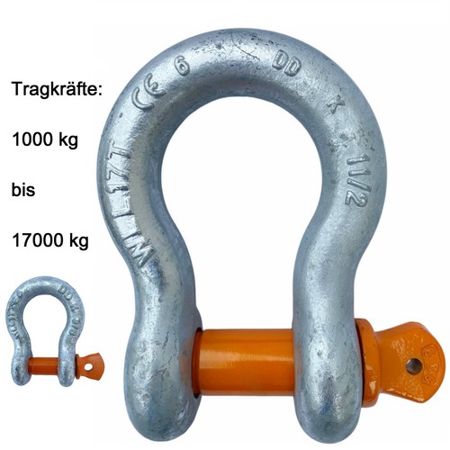 Schäkel hochfest geschweift