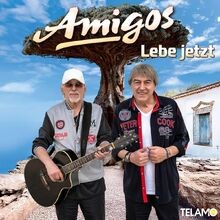 Lebe jetzt von amigos - lebe, cd